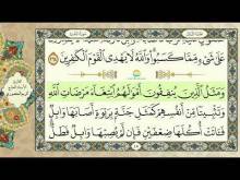 Embedded thumbnail for الجزء الثالث من القرآن الكريم (مرتل) + مكتوب و مقروء بصوت كريم المنصوري (فيديو)